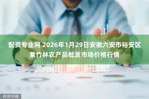 配资专业网 2026年1月29日安徽六安市裕安区紫竹林农产品批发市场价格行情